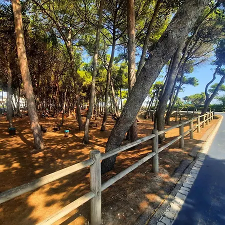 Bassa Marea 2 - Myho Casa * Alba Adriatica